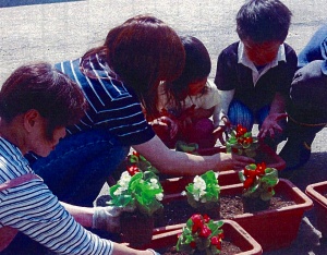 茂沢地区仮設住宅の皆さんでのプランターに花苗を植栽しました。