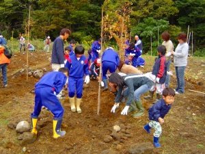 H１８「緑の募金森づくり事業」ケヤキの苗木を１００本植樹しました。