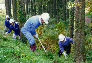 平成１８年度「地域緑化活動支援事業」大潟水と森と公園での草刈りボランティア。