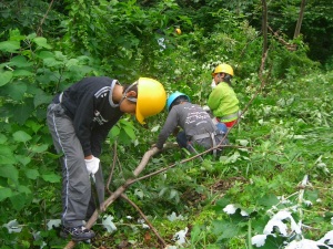 H17「緑の少年団活動支援事業」森林整備に挑戦中！