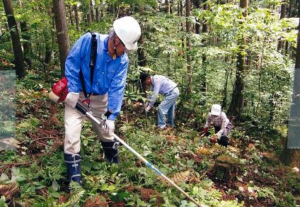 新潟市秋葉区の新津丘陵で森林整備活動を続けています。