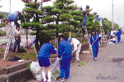 新潟市西蒲区（旧巻町）の小中学校や施設の松の木の剪定を行っています。