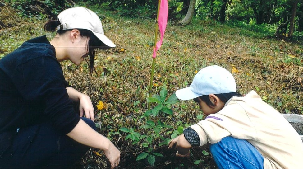小学生による植樹活動