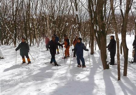 スノーシューによる（冬）の森の観察会