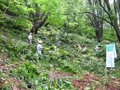 新発田地域緑化推進協議会による橡平桜樹林整備活動