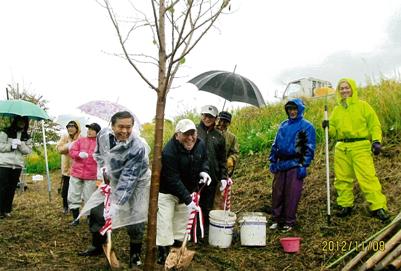 加治川堤の桜並木を復元するため活動を続けています。