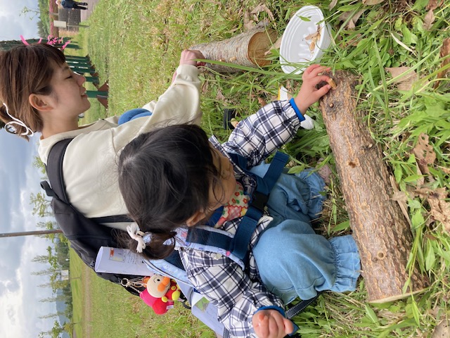 令和８年５月９日（土）、グリーンパークあらかわ運動公園にて、第24回「活樹を通じ、自然を学ぶ日」が開催されました。