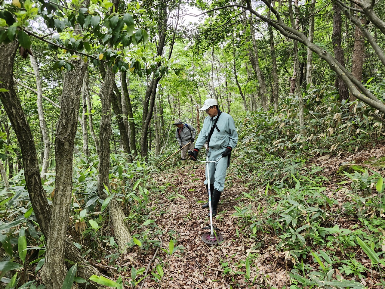 秋葉山「語らい小径」散策