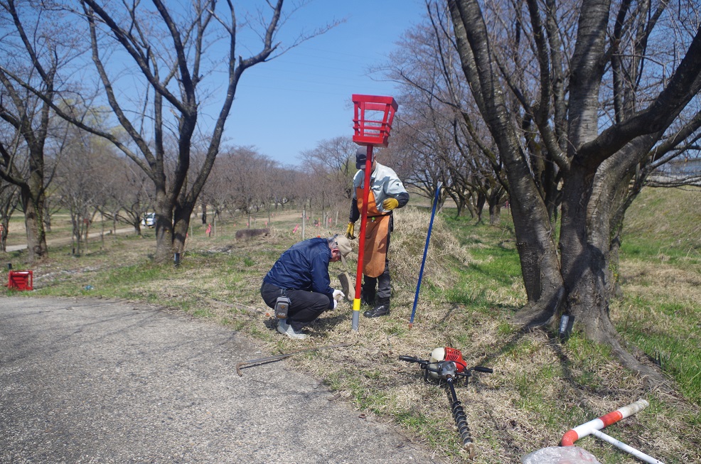 ボンボリ設置