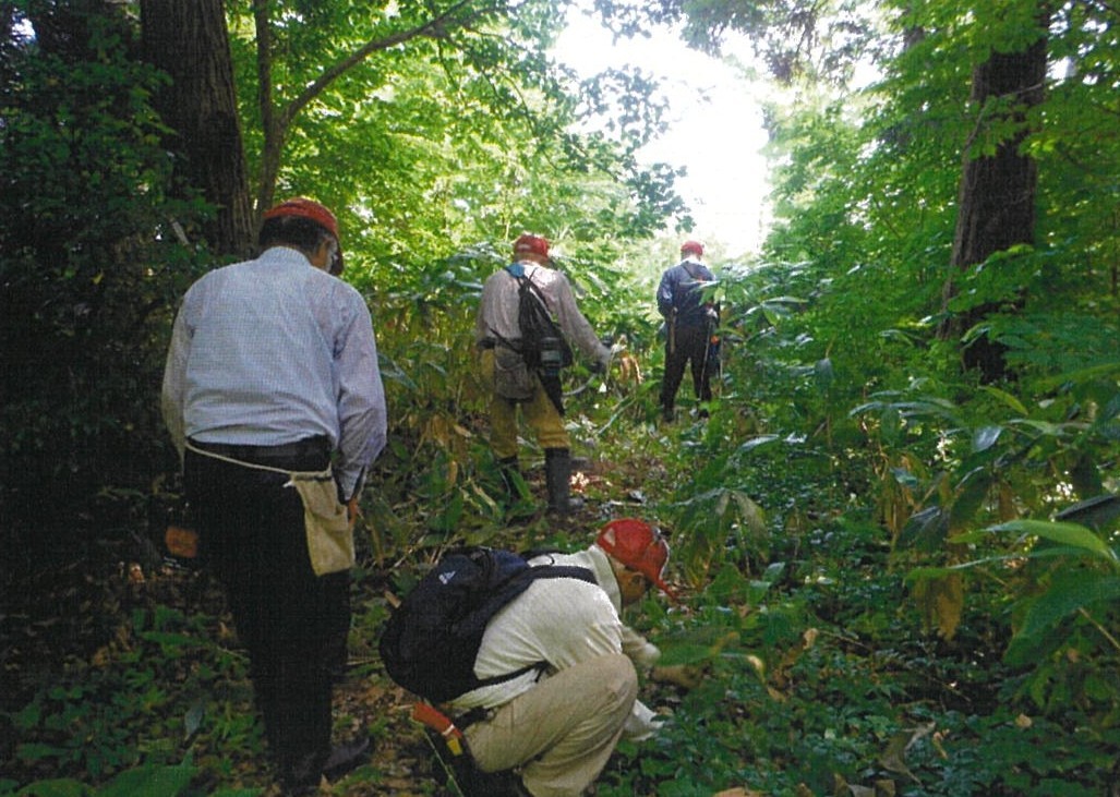 散策道整備＆森林整備