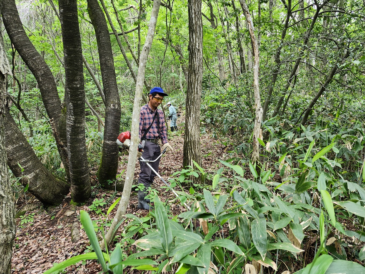 秋葉山「語らい小径」の保全作業