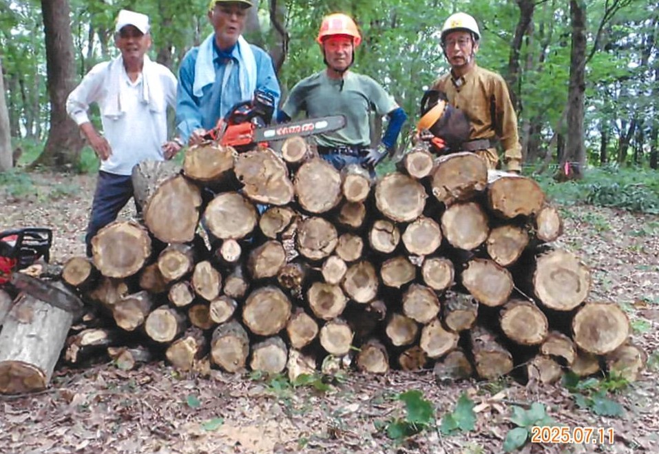 7月11日小丸山丘丘陵地内の枯木、除伐作業