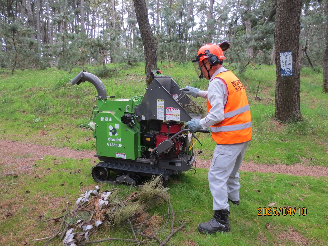 枯枝チップ化(粉砕機)