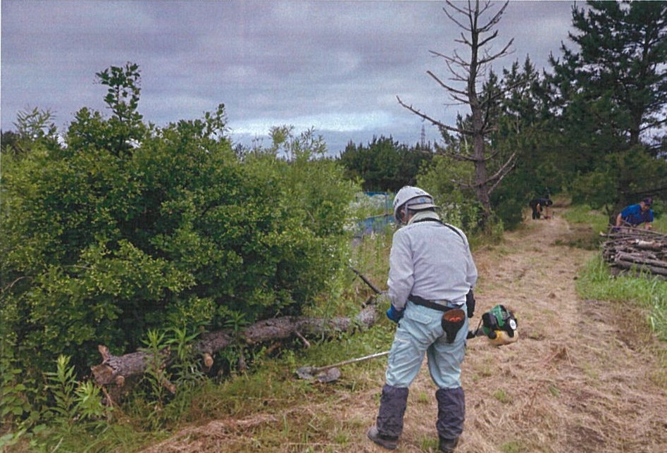 雪の高浜・越の松原　遊歩道整備