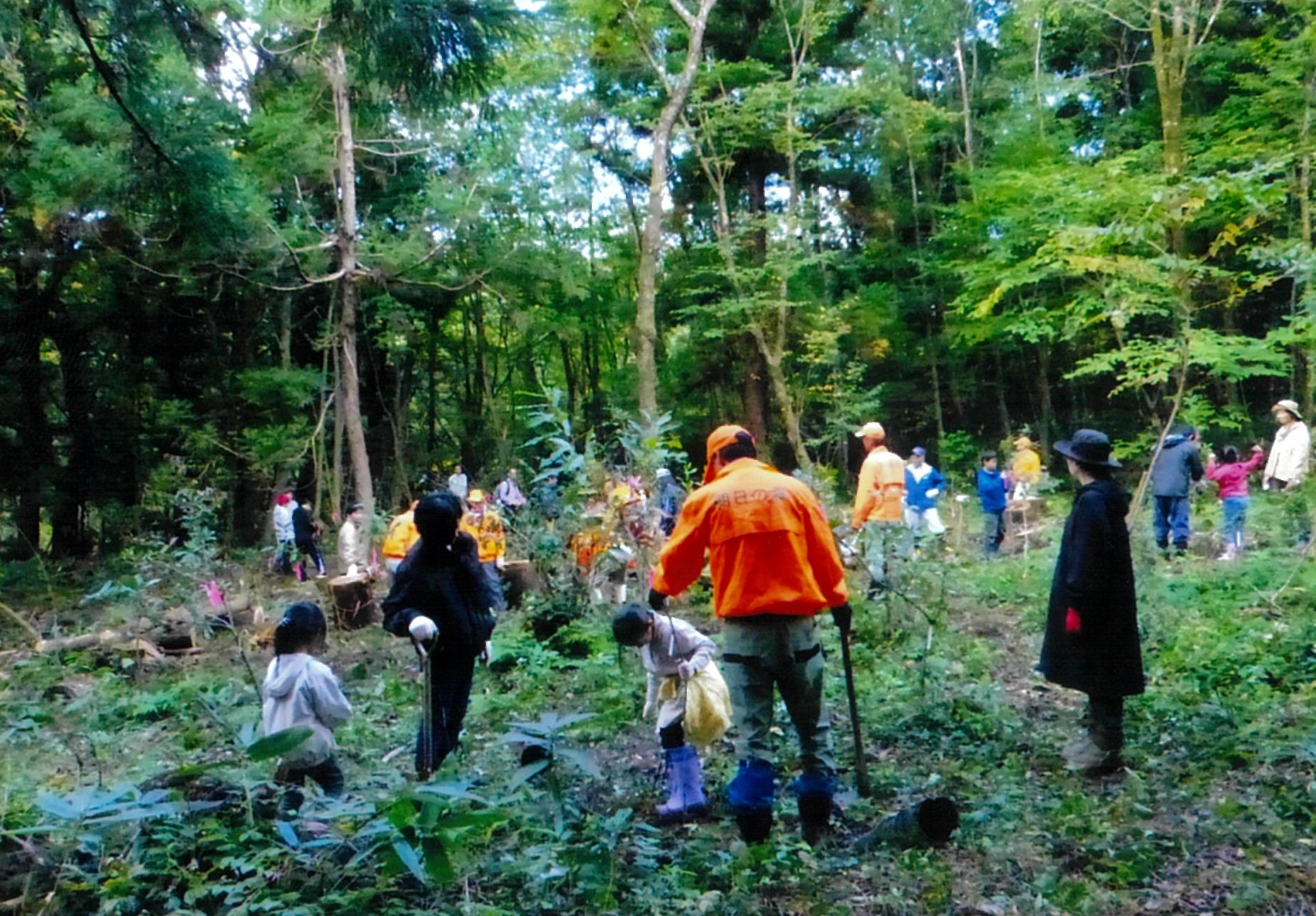 植樹会