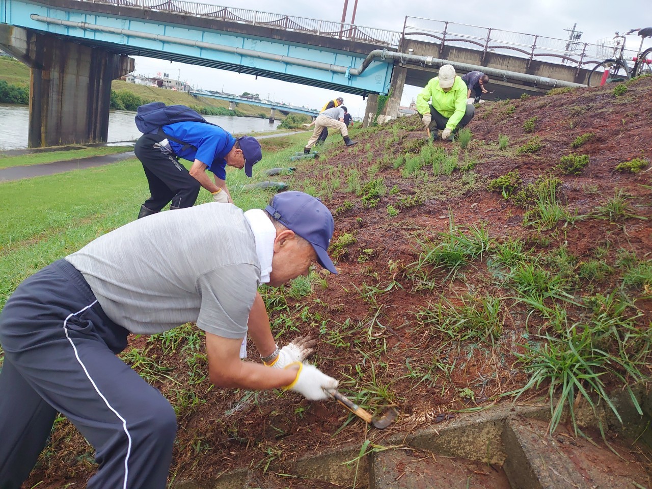 五十嵐川河川敷の草取りの様子