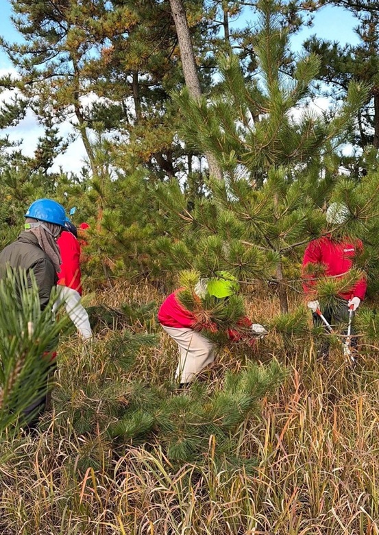 枝落し　保全活動