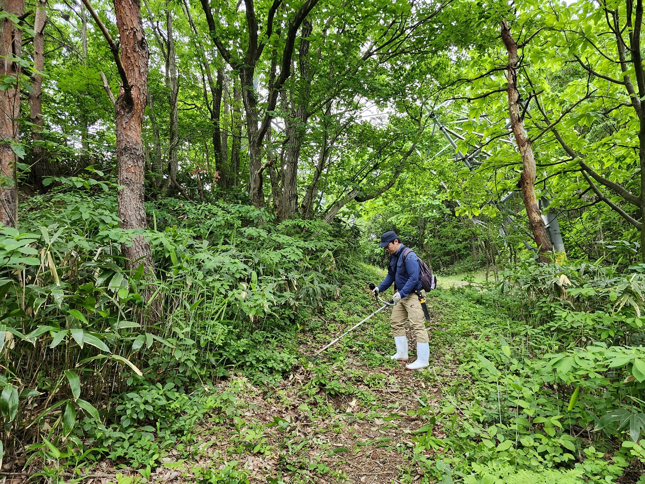 秋葉山「語らい小径」散策