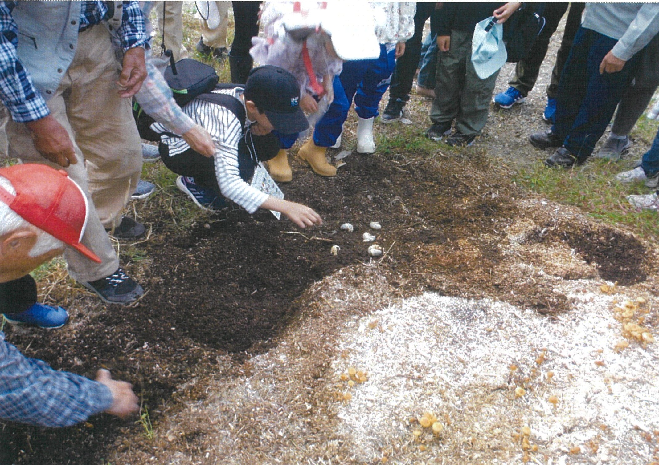 SDGs里山自然観察会(カブトムシ幼虫)