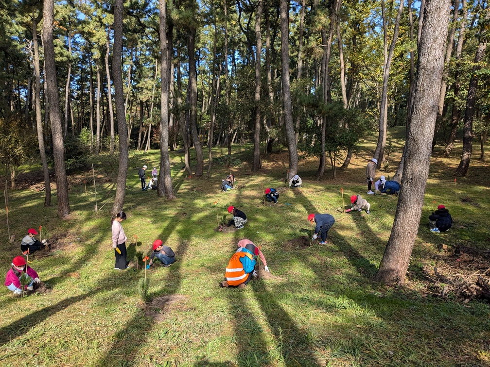 青山小学校3学年　クロマツ苗植樹作業