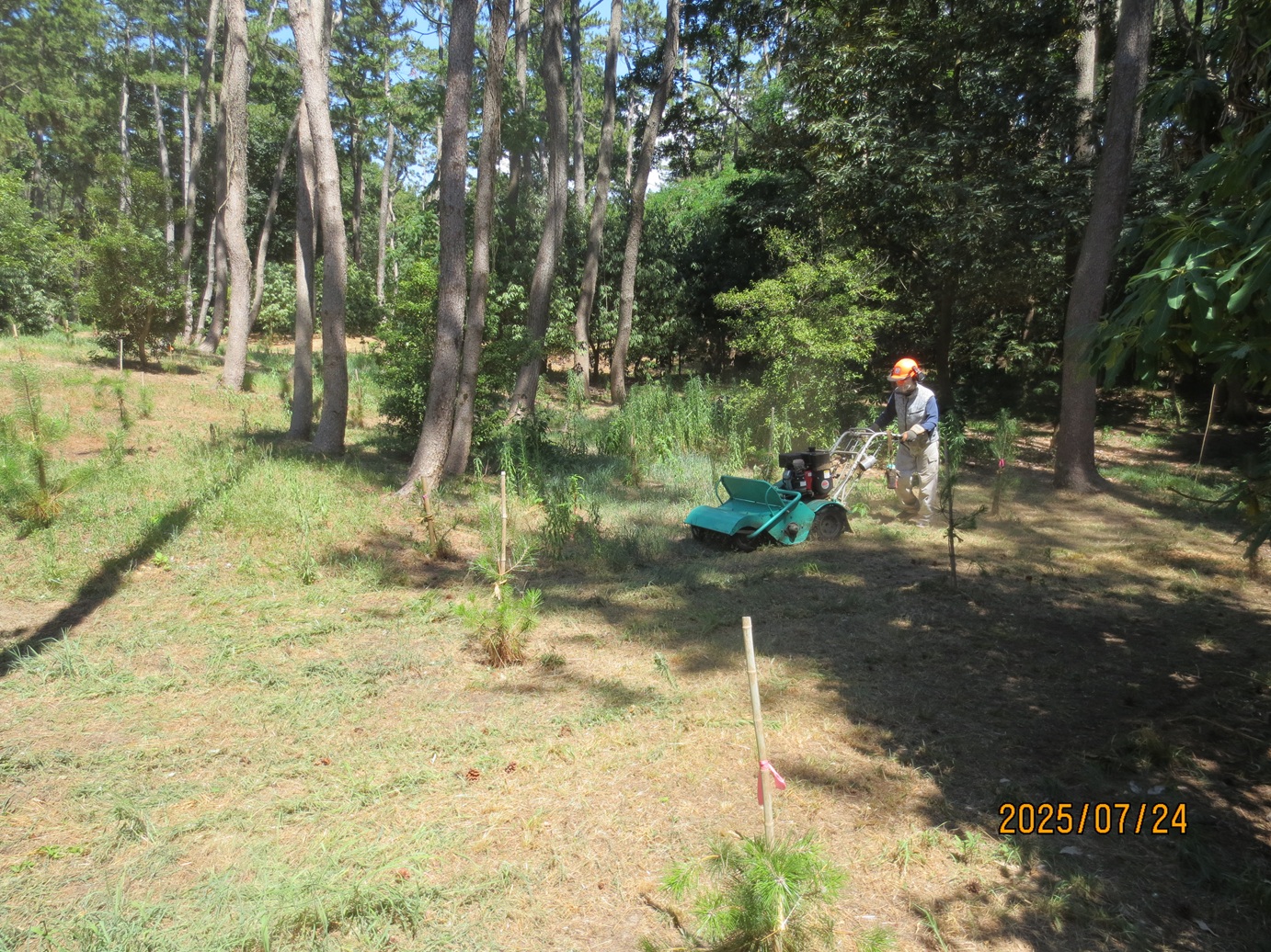 草刈り(ハンマーナイフ)