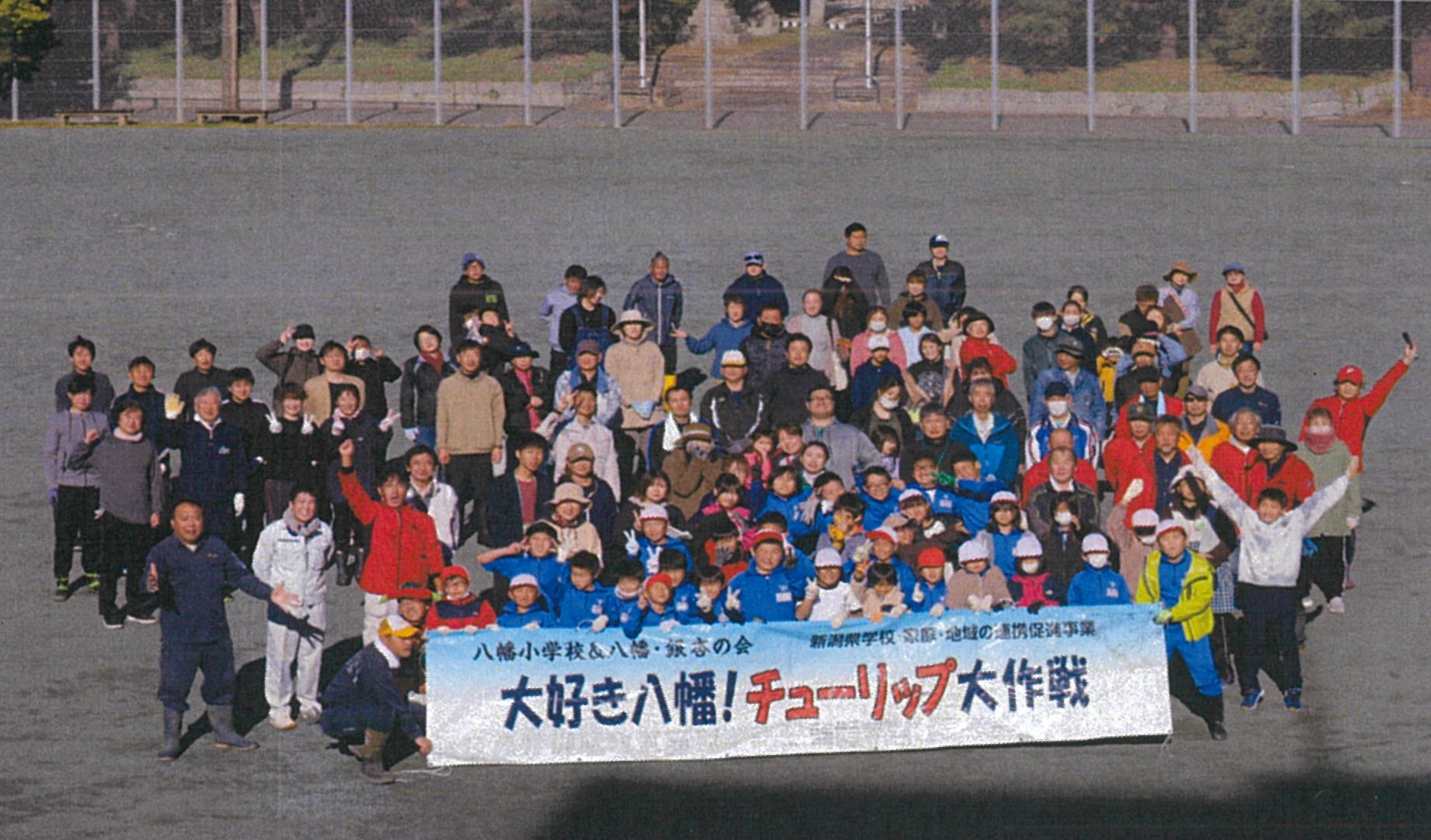 チューリップ大作戦