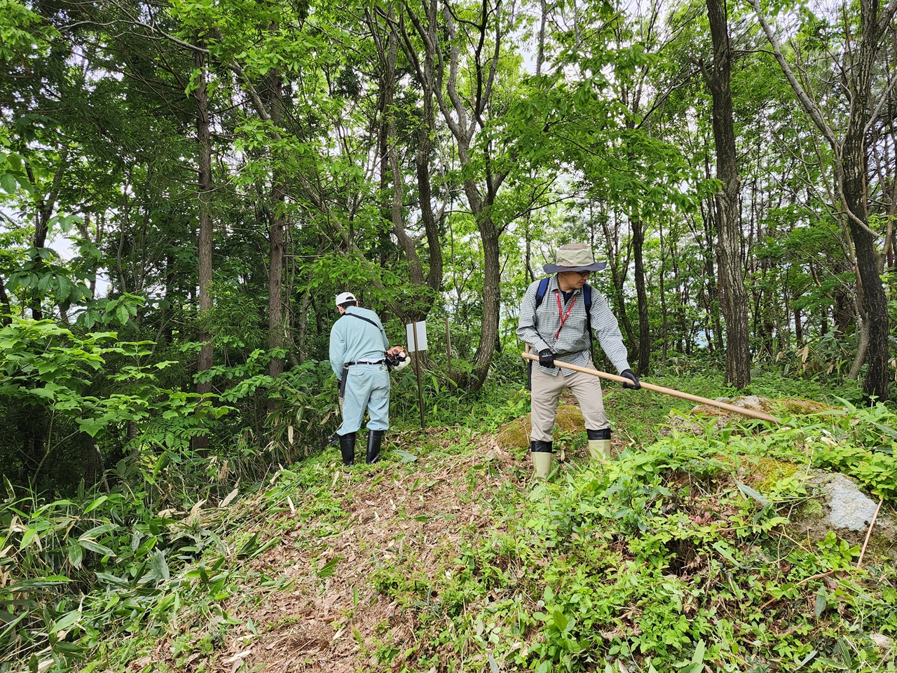 秋葉山「語らい小径」の保全作業