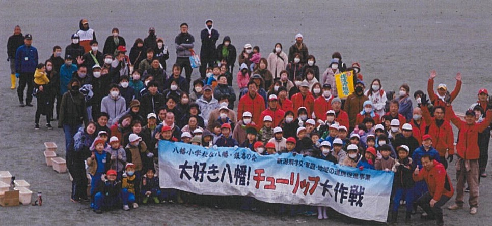 11/9チューリップ大作戦