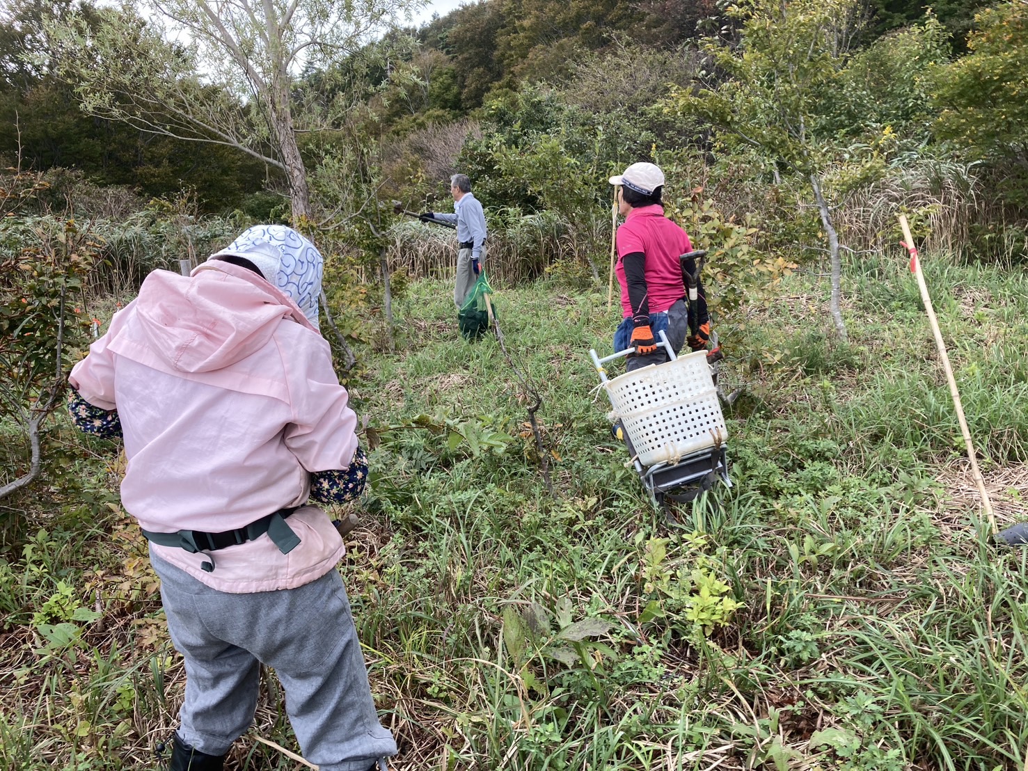 植樹箇所の確認